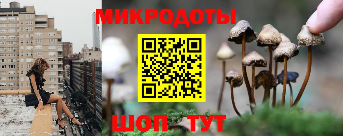 Кимры  купить   Вход с VPN  Псилоцибиновые грибы Psilocybe 